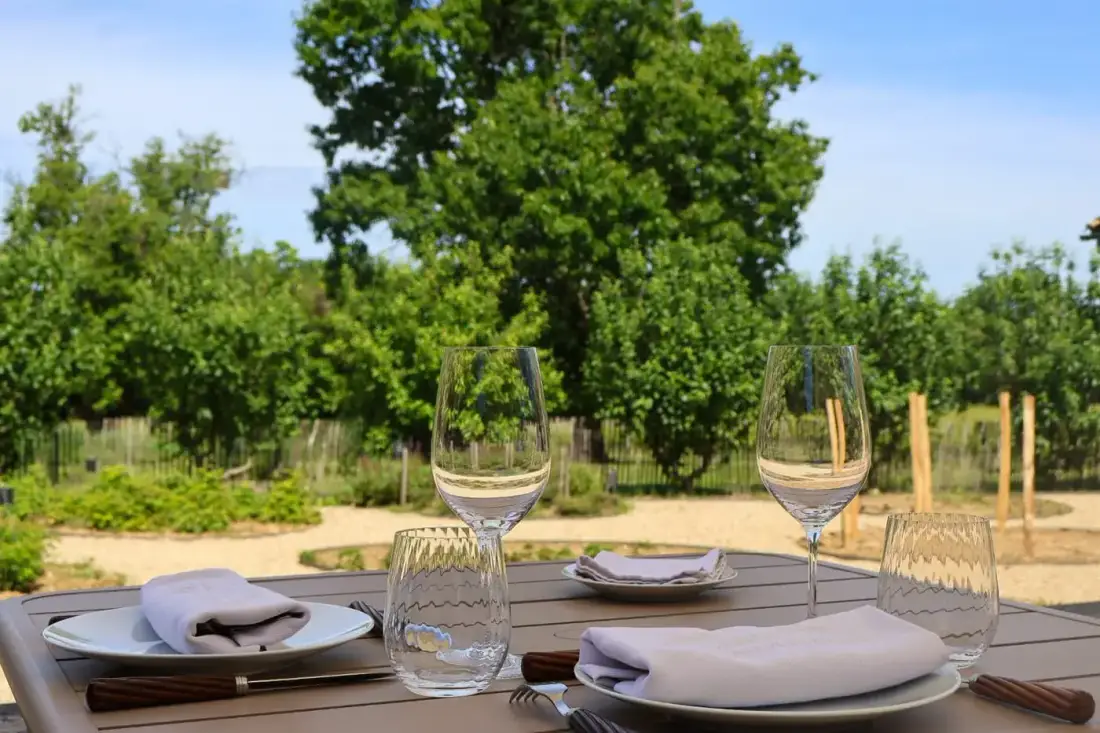 Private Grand Cru Classé winery visit, Saint-Emilion